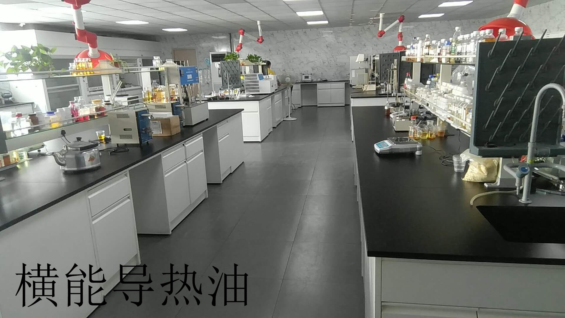 c鿴